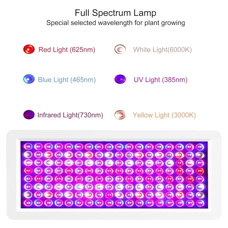 2026 Latest UV Light Box for S - Resin Curing Station ulasan dan harga
