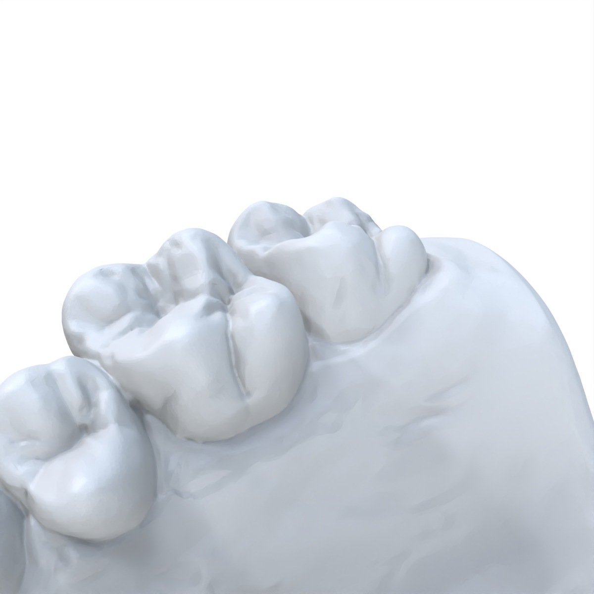 1 PCS Dental Model Preferred 3 - 3D Printing Dental ulasan dan harga